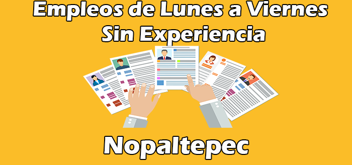 Empleos de Lunes a Viernes en Nopaltepec Sin Experiencia